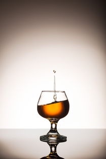 從土地到餐桌 農(nóng)業(yè)循環(huán)中的食物、營(yíng)養(yǎng)與酒精飲料